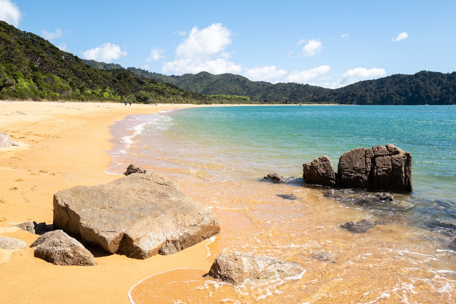 A curved golden-sand beach meeting clear turquoise water in Abel Tasman, forested hills behind and weathered granite boulders in the foreground.